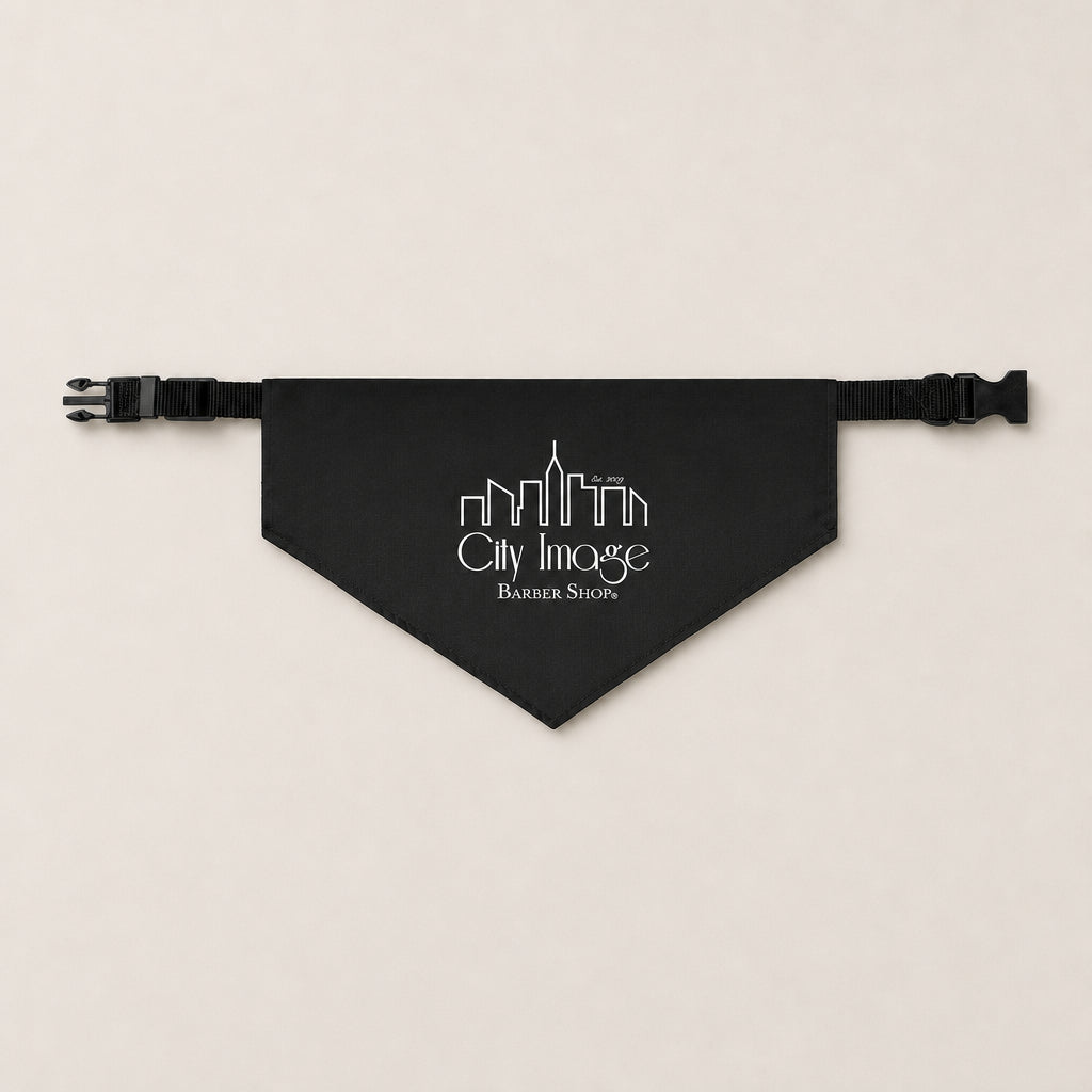 City Image Pet Bandana Collar studio product photo