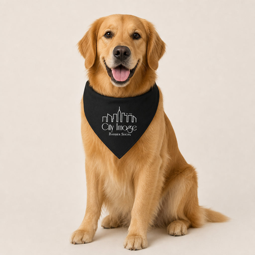City Image Pet Bandana Collar lifestyle photo
